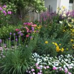 residential garden irrigation